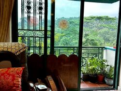 Meralodge (D23), Condominium #561747341